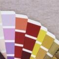 Color Combinations for Mens Wear