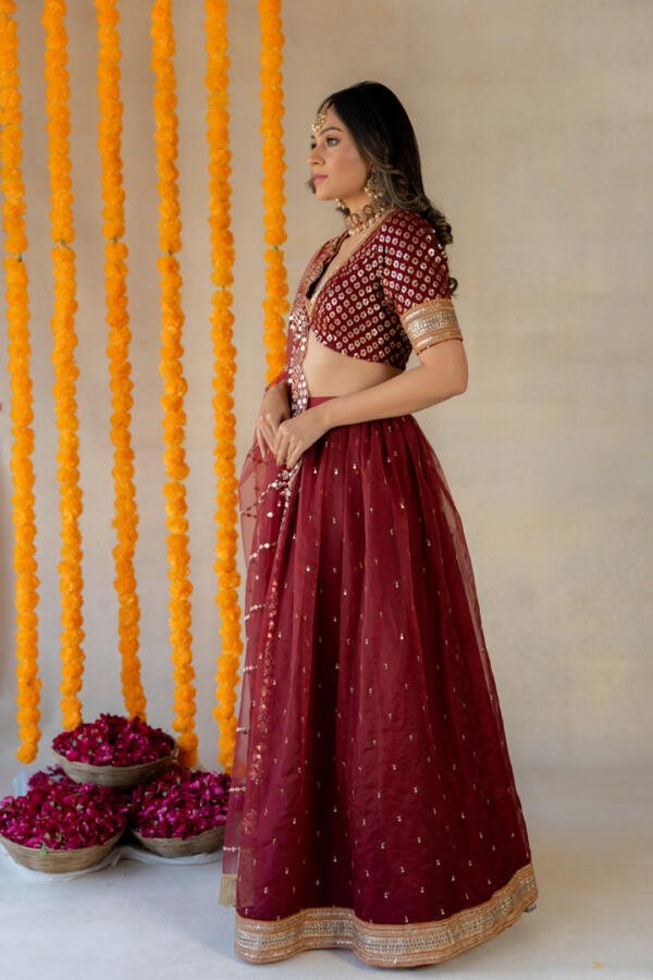 Ruby Lehenga Set - Image 5