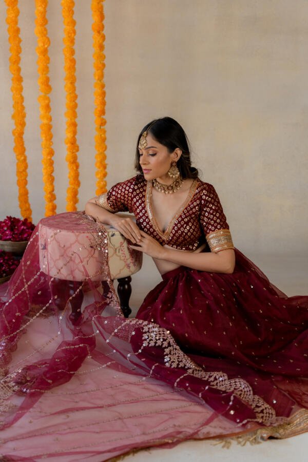 Ruby Lehenga Set - Image 6
