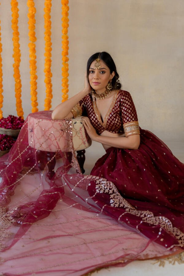 Ruby Lehenga Set - Image 7