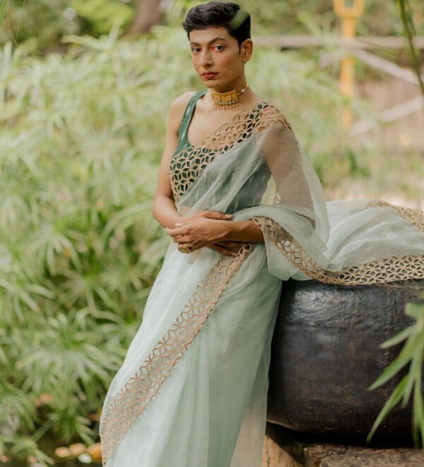 Organza Saree