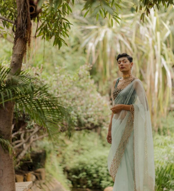 Organza Saree - Image 2