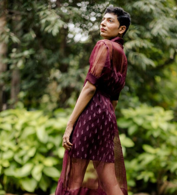Organza & Ikat Dress - Image 6